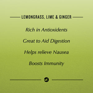 Lemongrass Lime and Ginger Pyramid 100 Pouch