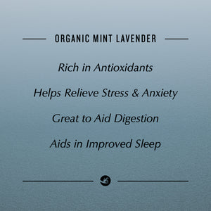 Organic Mints Pyramid 100 Pouch