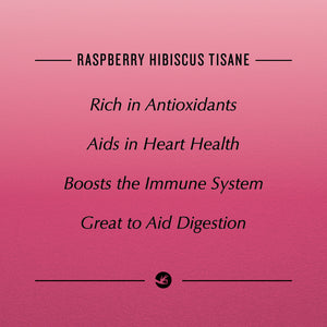 Raspberry Hibiscus Pyramid 100 Pouch